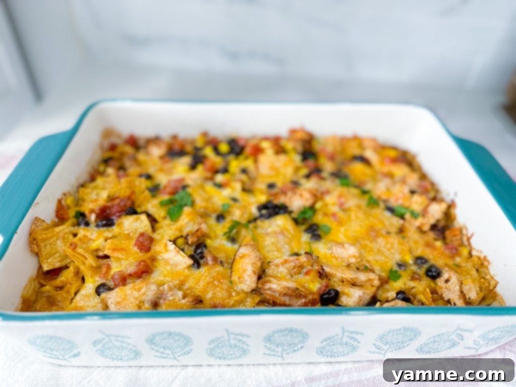 Southwestern Chicken Tortilla Bake 14 Deliciously Baked Chicken Tortilla Casserole