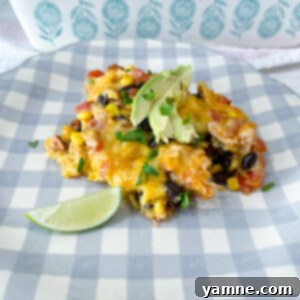 Southwestern Chicken Tortilla Bake 16 Chicken Enchilada Casserole