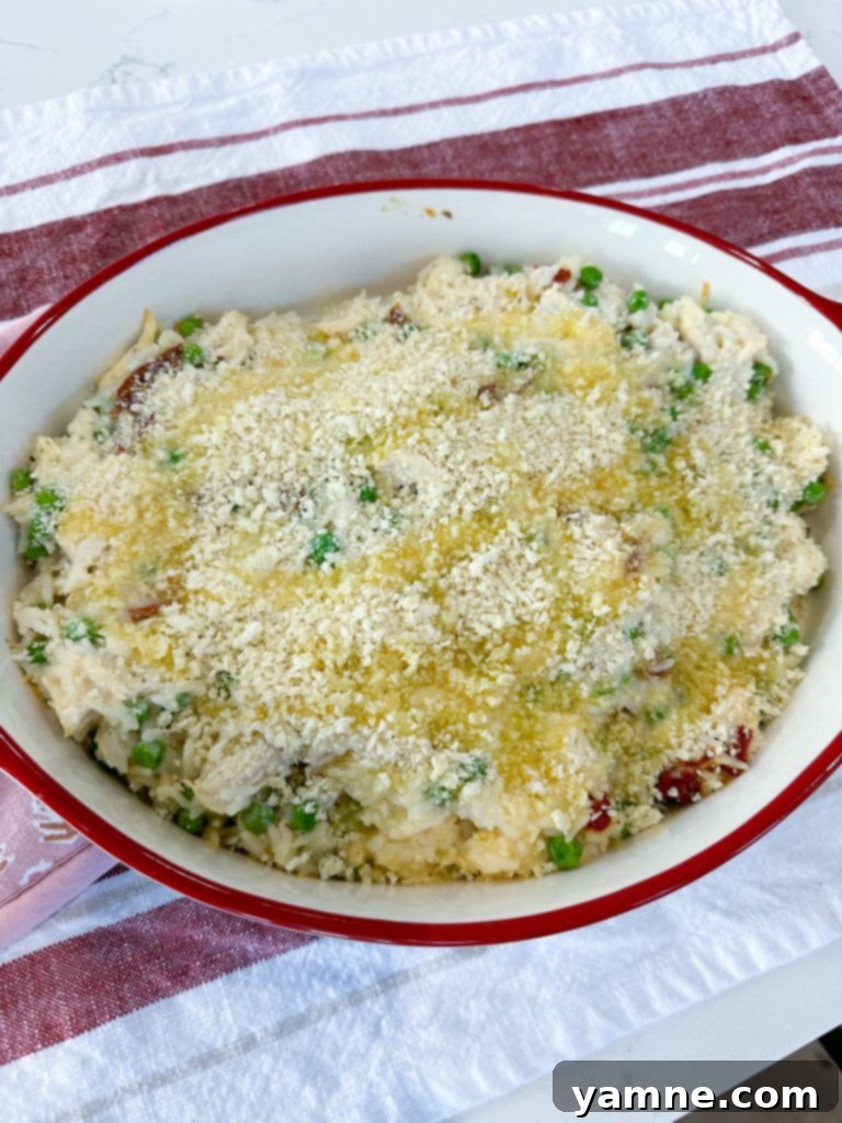 The Chicken Alfredo Rice Casserole with its golden brown, crispy Panko topping after baking.