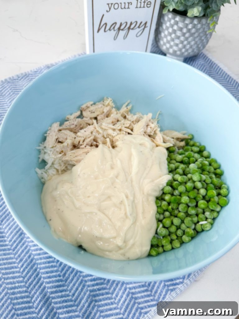 Adding Alfredo sauce to the rice and chicken mixture.