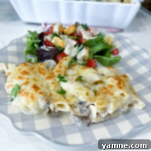 Deliciously creamy chicken mushroom pasta casserole, freshly baked with a golden cheese topping.