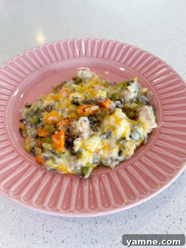 Ingredients laid out for Slow Cooker Chicken and Wild Rice, showing fresh chicken breast, an assortment of vegetables, wild rice, and spices ready for preparation.