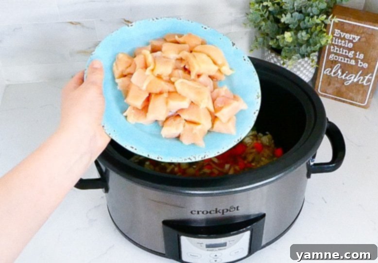 All ingredients for the Slow Cooker Chicken and Wild Rice mixed in the slow cooker before cooking, showing the readiness for the cooking process.