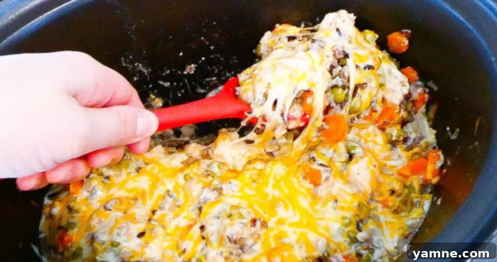 A serving of Slow Cooker Chicken and Wild Rice, garnished and ready to be enjoyed, showing the rich texture and delicious appeal.