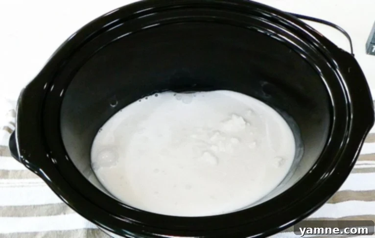 Easy Slow Cooker Chicken Coconut Curry 3 Slow Cooker Chicken Coconut Curry ready to serve