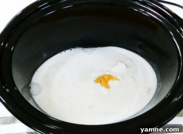 Easy Slow Cooker Chicken Coconut Curry 4 Close-up of Slow Cooker Chicken Coconut Curry