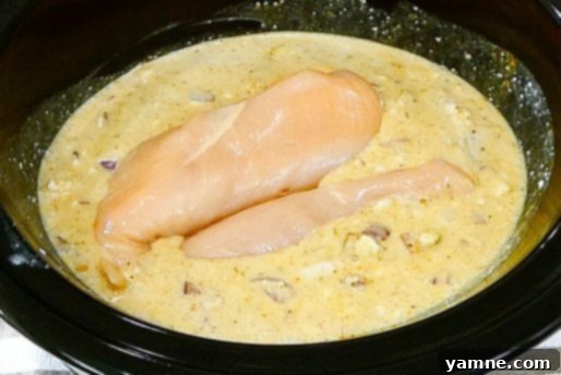 Easy Slow Cooker Chicken Coconut Curry 8 Naan bread on the side