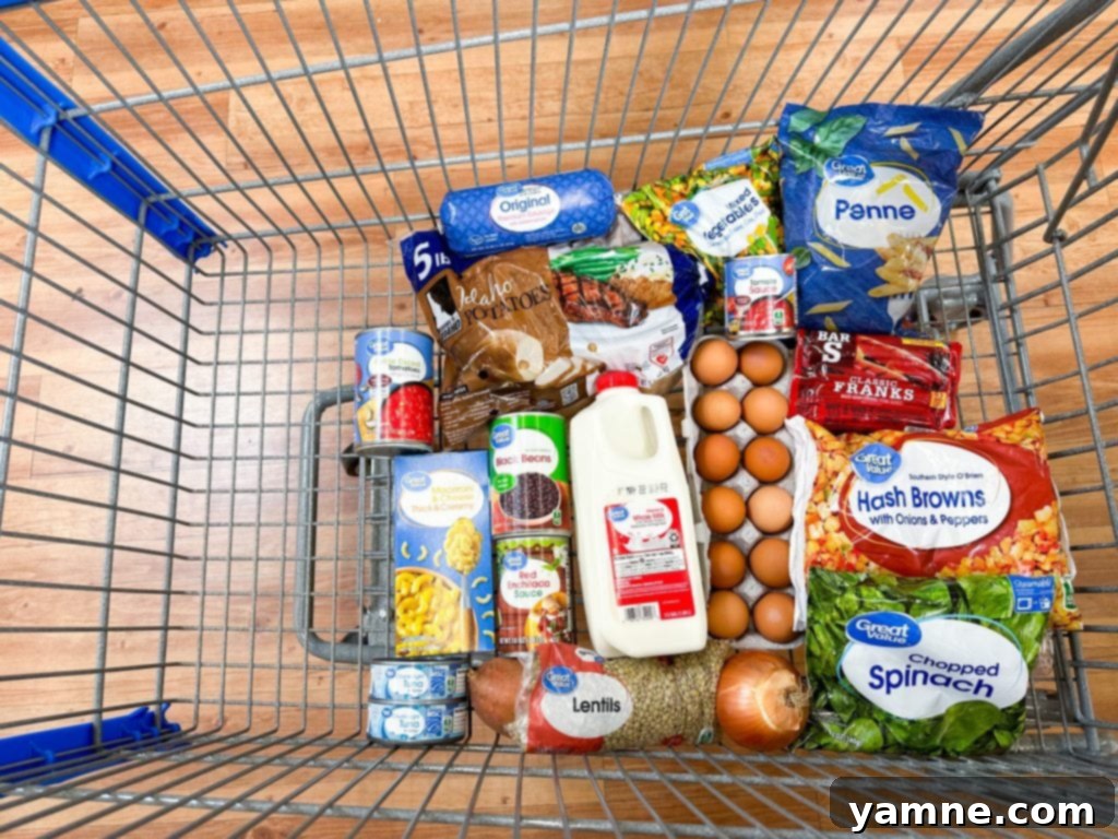 Shoestring Survival Meals 2 Extreme Budget Meal Plan with seven diverse dishes laid out on a table