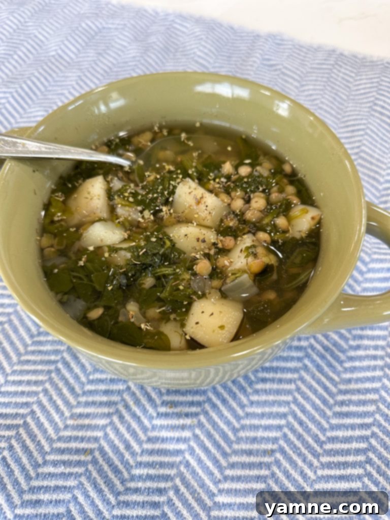 Shoestring Survival Meals 9 Lentil Spinach Soup in a bowl with a spoon