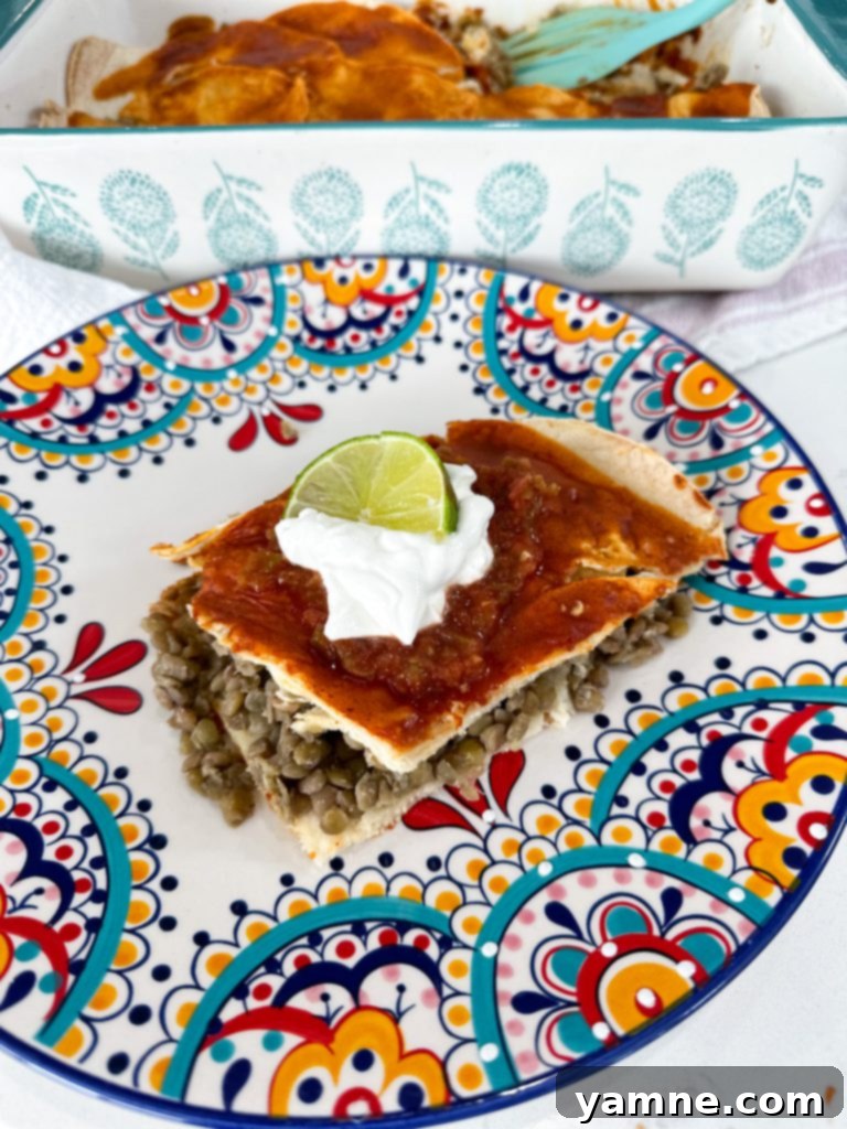 Shoestring Survival Meals 10 Lentil Enchiladas baked in a casserole dish, topped with cheese