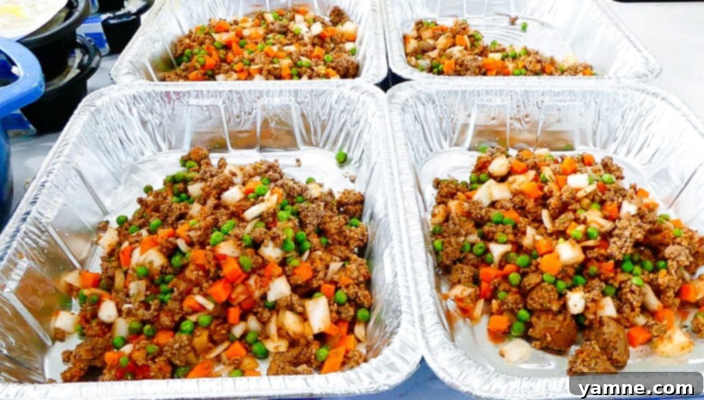 20 Wallet-Friendly Freezer Meals 12 img 15946 11