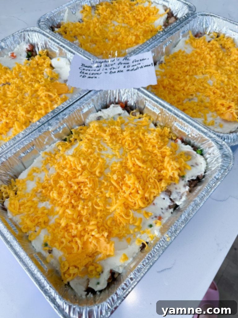 20 Wallet-Friendly Freezer Meals 14 cheap freezer meals