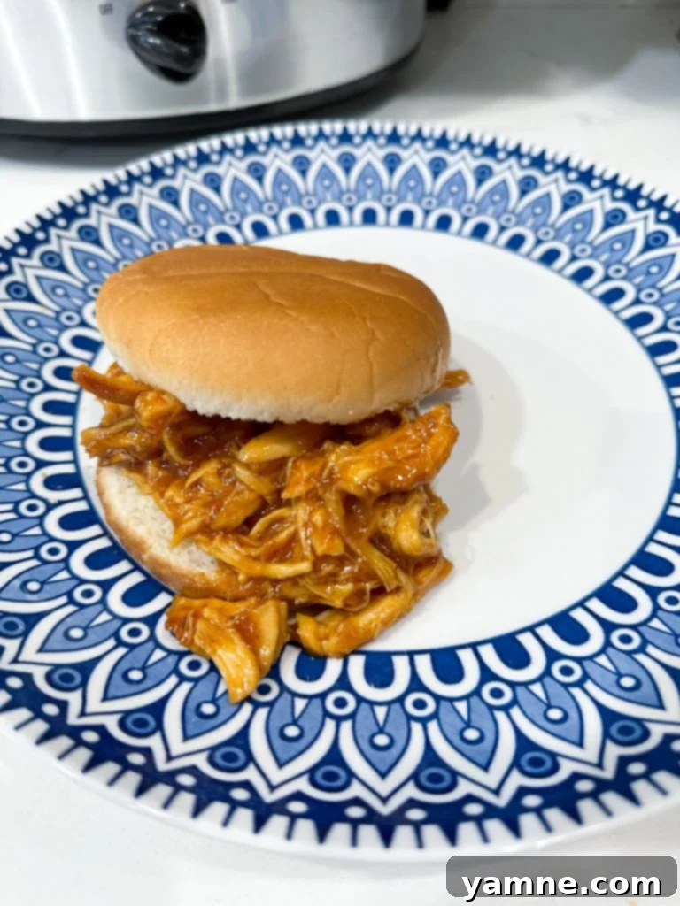 20 Wallet-Friendly Freezer Meals 5 img 15946 4