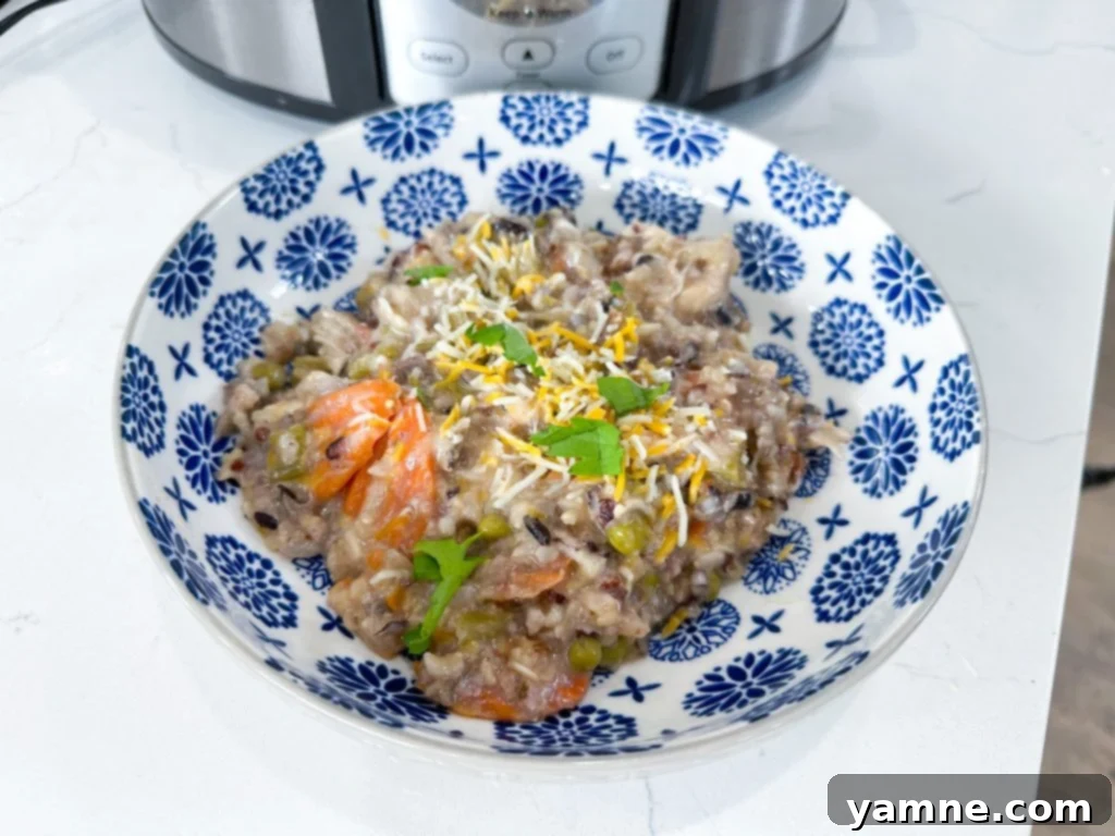 20 Wallet-Friendly Freezer Meals 7 img 15946 6