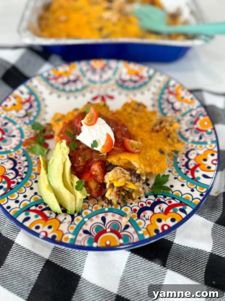 20 Wallet-Friendly Freezer Meals 9 cheap freezer meals