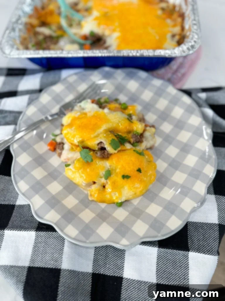 20 Wallet-Friendly Freezer Meals 10 cheap freezer meals