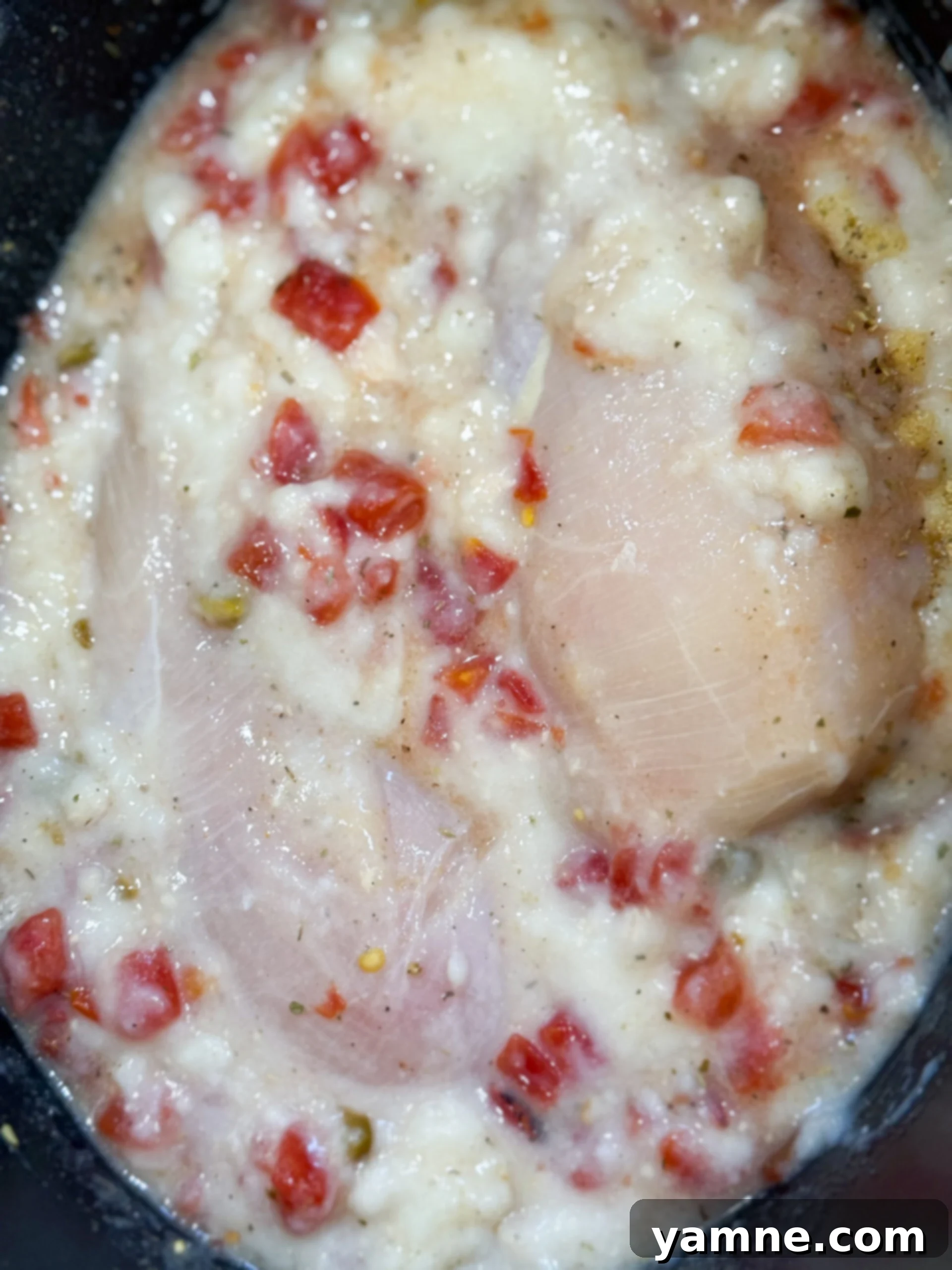 Easy Slow Cooker Creamy Rotel Chicken Pasta 6 Chicken, cream of chicken soup, and Rotel in slow cooker