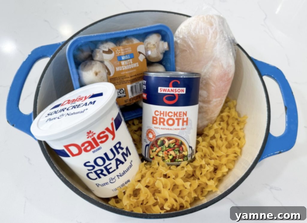 Creamy Chicken Stroganoff Skillet 2 One-Pot Chicken Stroganoff Ingredients