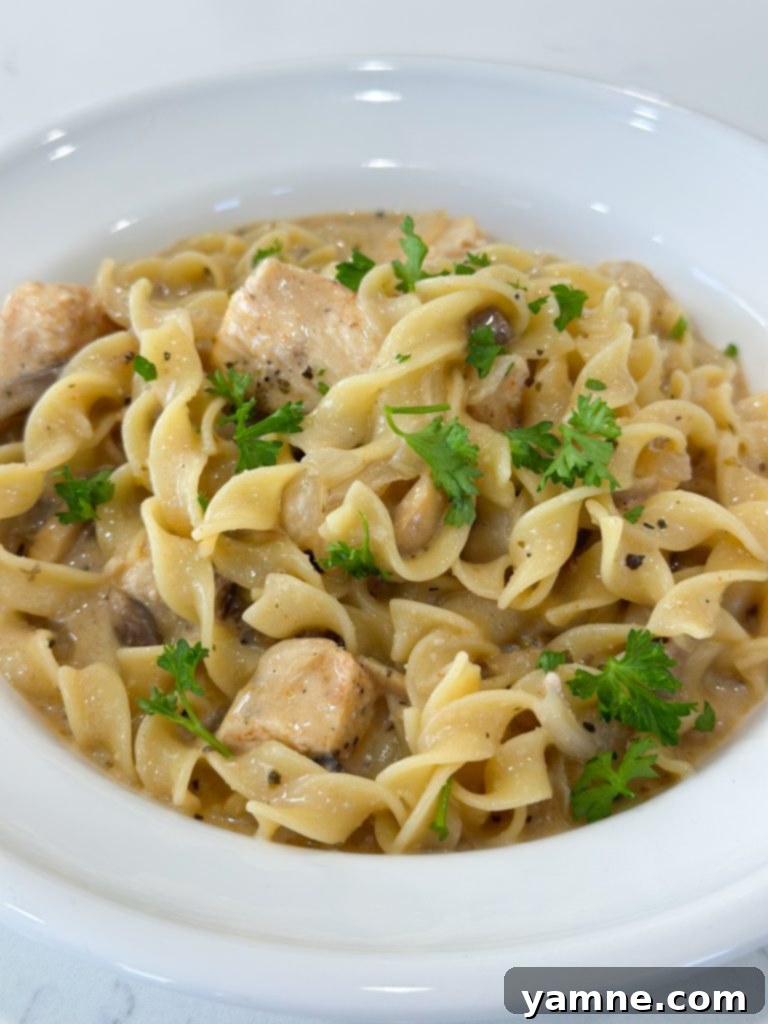 Creamy Chicken Stroganoff Skillet 7 Creamy Chicken Stroganoff