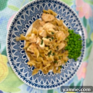 Creamy Chicken Stroganoff Skillet 8 img 16510 7