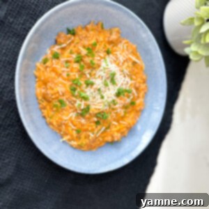 One Pot Orzo with a Rich Creamy Sauce