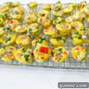 A plate of golden brown mini egg bites with visible vegetables and ham