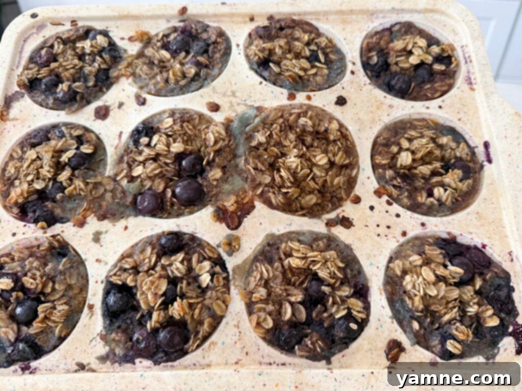 Portable Blueberry Oat Cups 2 Healthy breakfast muffin cups, showcasing individual portions of blueberry oatmeal cups with a golden-brown top and fresh blueberries.