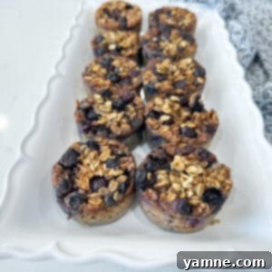 Portable Blueberry Oat Cups 5 Blueberry Oatmeal Cups, a healthy breakfast or snack option.