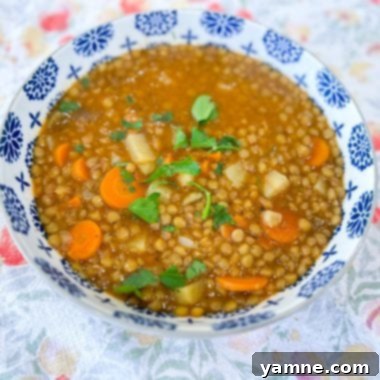 Comforting Lentil Stew 2 Bowl of lentil stew with carrots, potatoes, and spinach, garnished with fresh herbs.