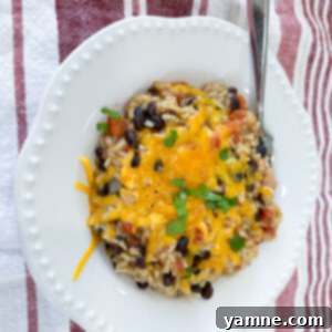 Savory Black Bean Rice Bowl 2 Black Beans and Rice