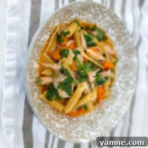 Chicken and Garden Vegetable Pasta Perfection 2 Chicken and Vegetable Pasta