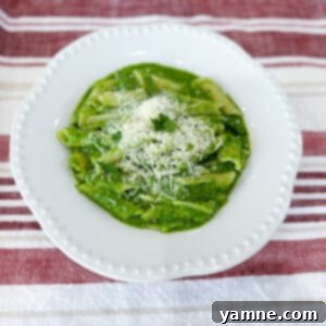 Vibrant Pasta with a Vegetable Green Sauce