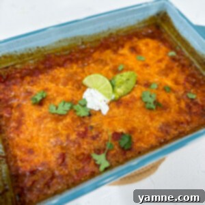 Delicious Black Bean Casserole layered with beans, quinoa, cheese, and vibrant vegetables