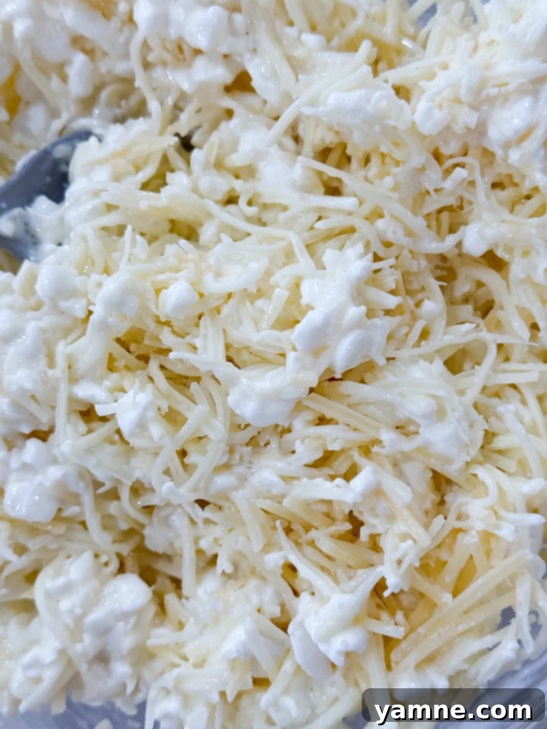 Cottage cheese, parmesan, and mozzarella mix in a bowl