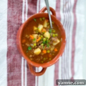 Hearty Ground Beef Stew with vegetables and rich broth