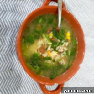 A comforting bowl of homemade rice and vegetable soup, garnished with fresh herbs.