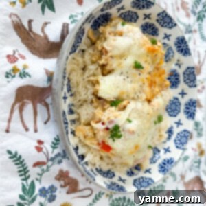 Sizzling Fajita Bake 2 A top-down view of a delicious, cheesy fajita casserole, freshly baked and ready to serve.