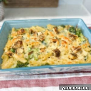 Chicken Broccoli Alfredo Casserole with melted cheese and fresh parsley