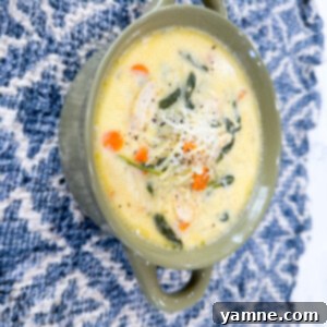 Creamy Chicken and Pasta Soup