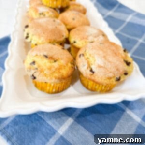 Easy Cake Mix Chocolate Chip Muffins 2 Soft and Fluffy Cake Mix Chocolate Chip Muffins