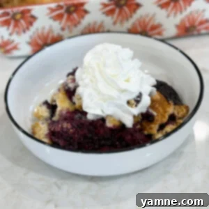 Baked berry cobbler topped with scoop of vanilla ice cream