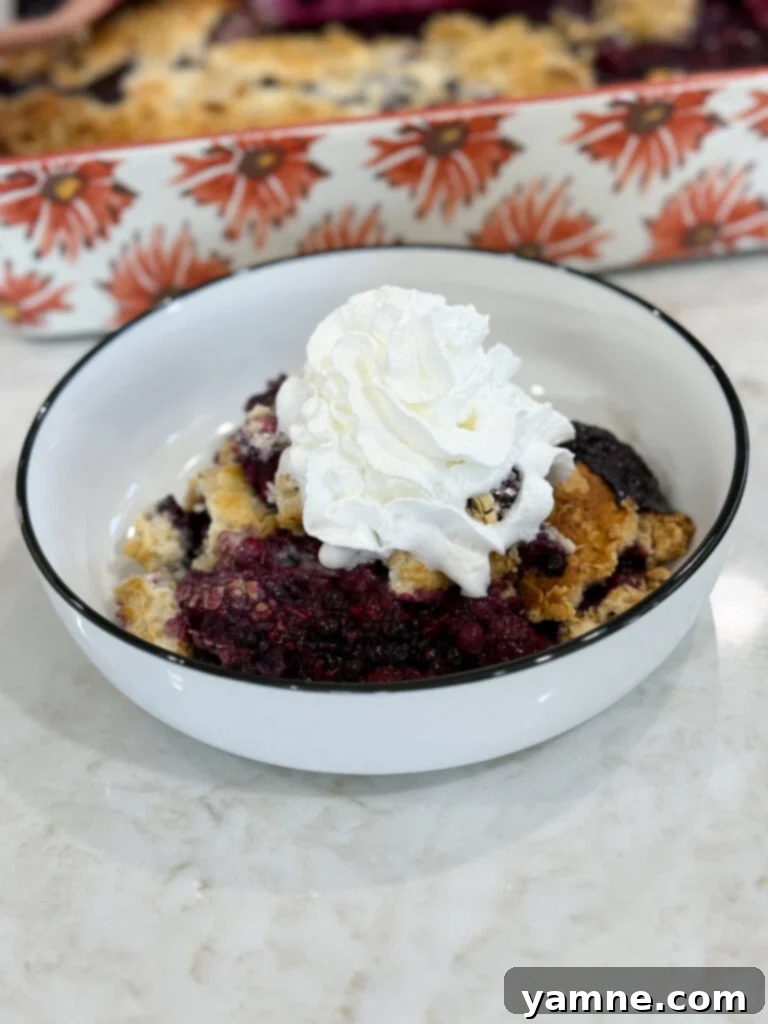 Baked berry cobbler topped with scoop of vanilla ice cream