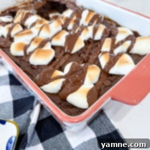 Easy Campfire Dessert 2 Delicious S'mores Dump Cake with melted chocolate and toasted marshmallows