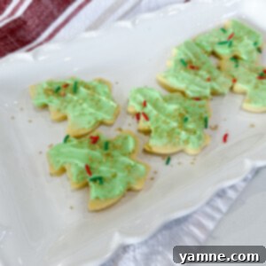 Buttery Bites: The Ultimate Sugar Cookie Experience 2 Sugar Cookies