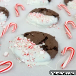 Festive White Chocolate Dipped Cookies with Crushed Candy Canes, perfect for the holidays