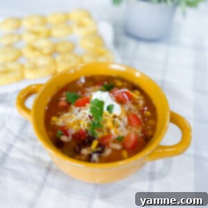 Chicken Taco Soup