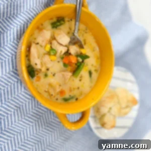 Homestyle Chicken Pot Pie Soup 2 A comforting bowl of creamy Chicken Pot Pie Soup, garnished with fresh herbs and ready to be enjoyed.