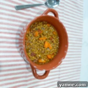 A steaming bowl of hearty lentil stew with fresh herbs