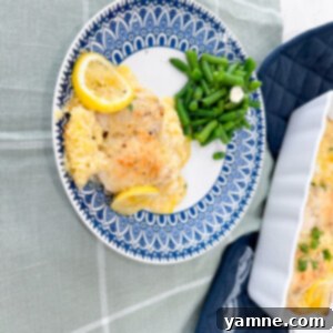 Parmesan Lemon Chicken with Creamy Rice 2 Parmesan Lemon Chicken and Rice