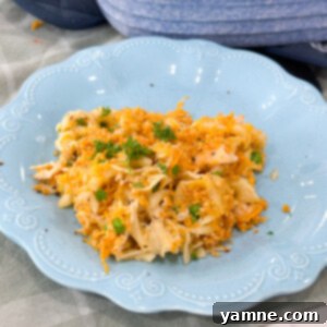A delicious and creamy chicken noodle casserole with a golden brown, cheesy panko topping, ready to be served.